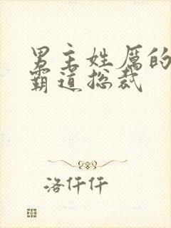 男主姓厉的小说霸道总裁