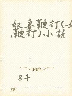 奴妻鞭打(女m,鞭打)小说