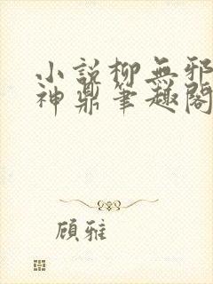 小说柳无邪吞天神鼎笔趣阁