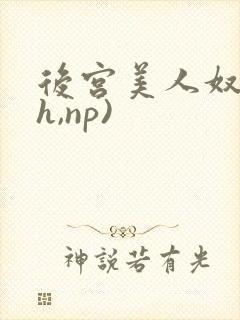 后宫美人奴(高h,np)