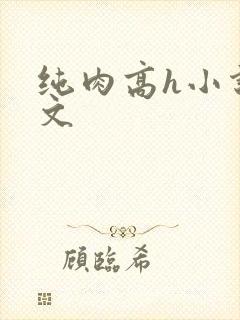 纯肉高h小说辣文