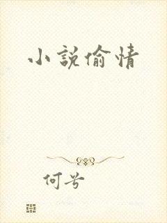 小说偷情