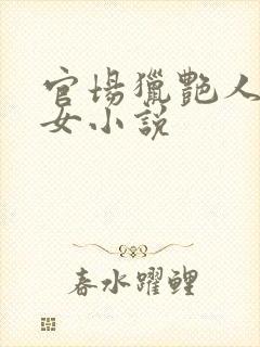 官场猎艳人妻熟女小说封面