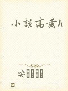 小说高黄h封面