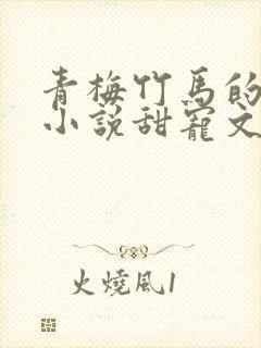 青梅竹马的校园小说甜宠文完结封面