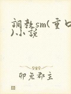 调教sm(重口)小说封面
