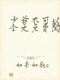 少爷不可以小说全文免费阅读无弹窗