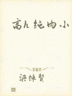 高h 纯肉小说