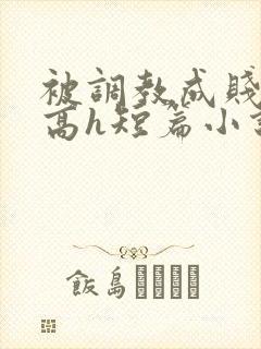 被调教成贱奴的高h短篇小说推荐