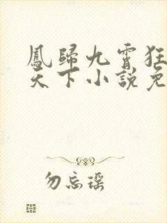 凤归九霄狂妃逆天下小说免费阅读