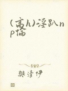 (高h)淫趴np伦