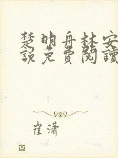 楚明舟林安安小说免费阅读无弹窗