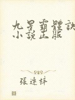 九星霸体诀龙尘小说正版