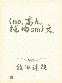 (np,高h,纯肉sm)文
