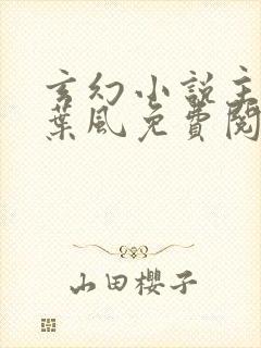 玄幻小说主人公叶风免费阅读封面