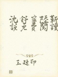 沈舒宁陆靳桥小说免费阅读最新章节封面