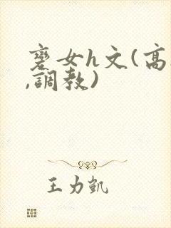 变女h文(高h,调教)