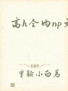 高h全肉np文