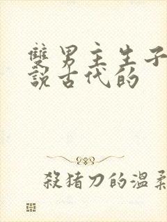 双男主生子文小说古代的封面