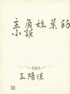 主角姓叶的都市小说