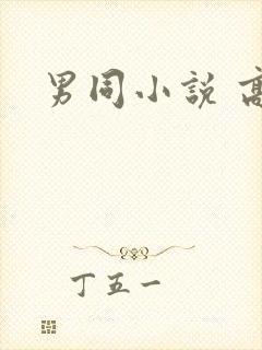 男同小说 高h封面