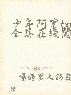 少年阿宾txt全集在线阅读