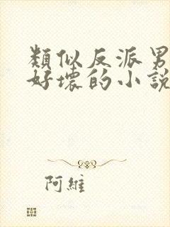 类似反派男主你好坏的小说