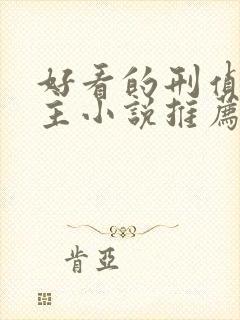 好看的刑侦双男主小说推荐封面