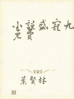 小说盛宠九皇妃免费