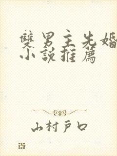 双男主先婚后爱小说推荐封面