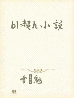 bl超h小说封面