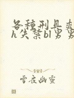 各种刑具爽到高h失禁bl男男