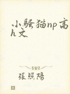 小骚猫np高辣h文