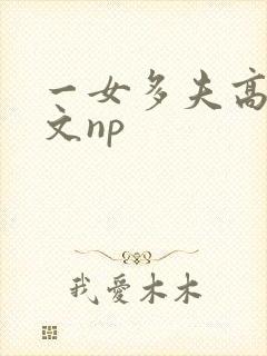 一女多夫高辣h文np
