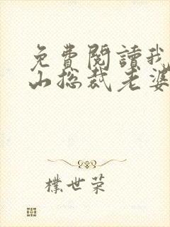 免费阅读我的冰山总裁老婆小说封面