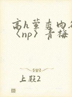 高h荤爽肉欲文〈np〉青梅