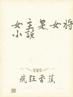 女主是女将军的小说