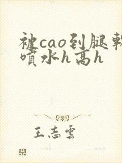 被cao到腿软喷水h高h