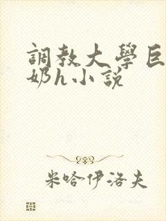 调教大学巨乳骚奶h小说封面