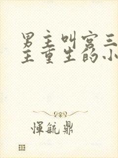 男主叫宫三爷女主重生的小说