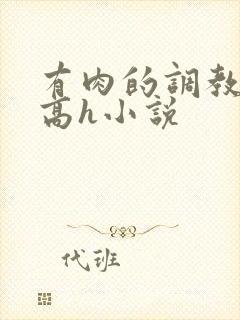 有肉的调教np高h小说