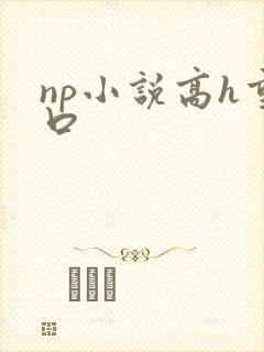 np小说高h重口