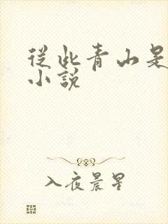 从此青山是故人小说