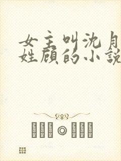 女主叫沈月男主姓顾的小说