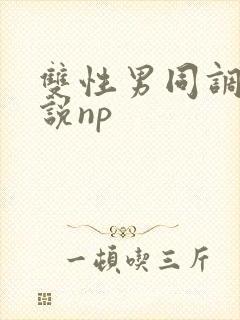 双性男同调教小说np