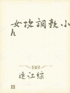 女攻调教小说高h封面