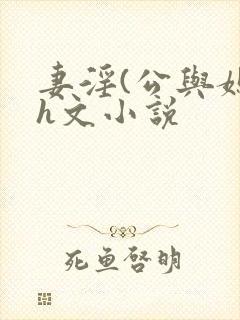 妻淫(公与媳)h文小说