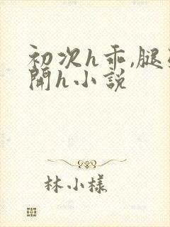 初次h乖,腿张开h小说