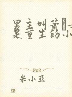 男主叫萧玦女主是重生的小说