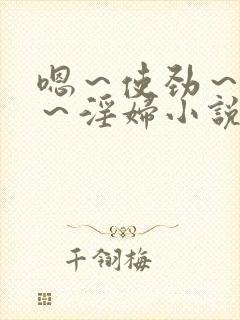 嗯～使劲～别停～淫妇小说